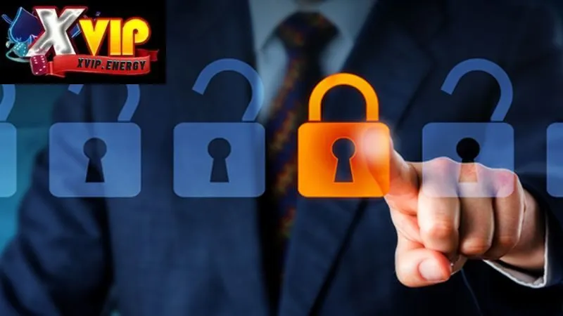 Cam kết về quyền riêng tư và trách nhiệm của chính Xvip