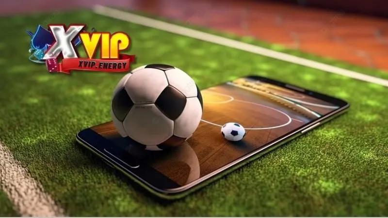 Cách chọn nhà cái uy tín