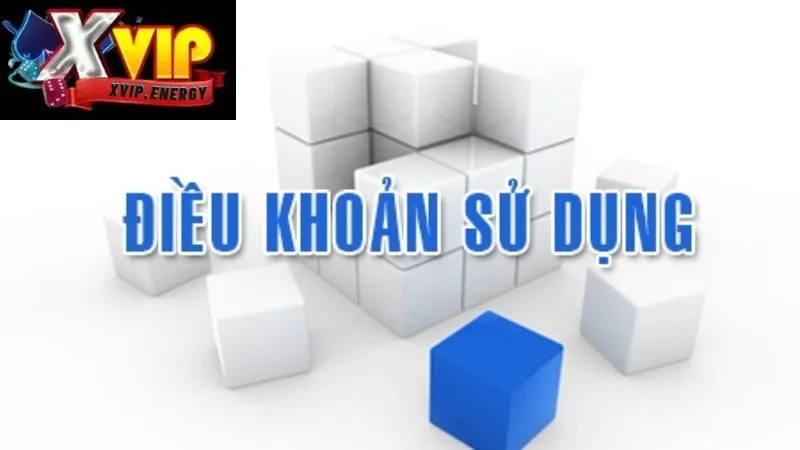 Giới Thiệu Tổng Quan Về Các Điều Khoản Sử Dụng
