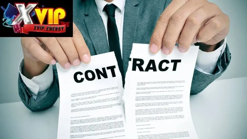 Các Quy Định Và Điều Khoản Liên Quan Đến Việc Miễn Trừ Trách Nhiệm