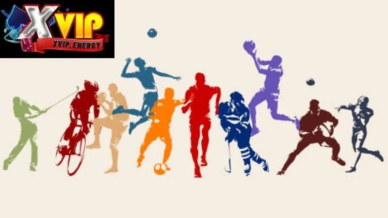 Các loại hình Thể Thao Xvip